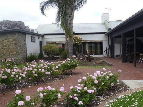 St Francis Winery Hotel Old Reynella